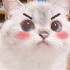 Meilynh