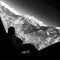 Neptunian8
