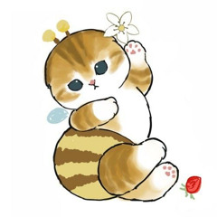 🍯˚ ༘ ೀ⋆｡˚ chippu ˚ ༘ ೀ⋆｡˚🍯