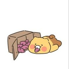 안유민