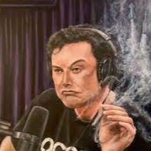 Elon Muskatnuss’s avatar