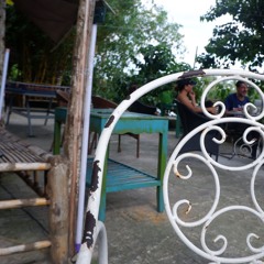 nấm hy lạp