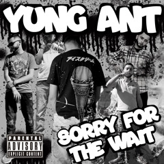 Yung Ant