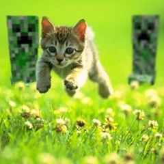 ‎ ‎ ‎ ‎ ‎ ‎ ‎ ‎ ‎ ‎‎ ‎ ‎ ‎ ‎ ‎ ‎ ‎ ‎ ‎‎ ‎ ‎ ‎