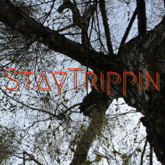 StayTrippin