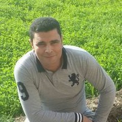 هادى الجندى