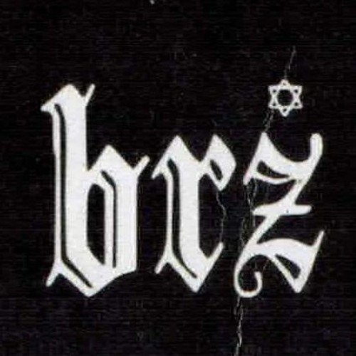 Brooklyńska Rada Żydów’s avatar