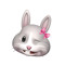 🐰