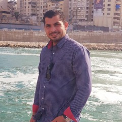 Amr Salem