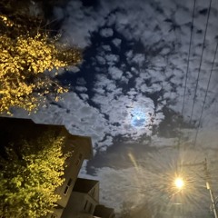 Muja🌊🏄🏾‍♂️