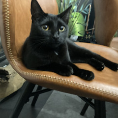 Elijah