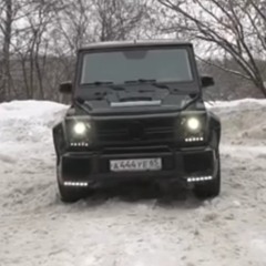 мерин