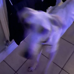 fuskdbsyi