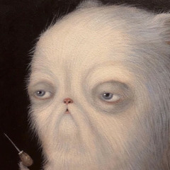 Danil K