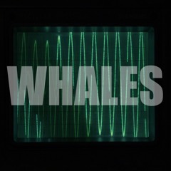 Whales