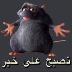 ne ne