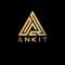 DJ ANKIT
