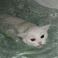 dead kimi.
