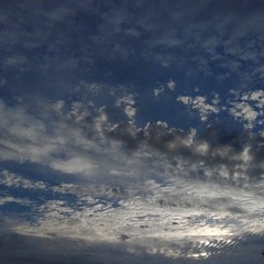 Musicfiendlivinglifelovingitall