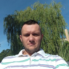 Domel853
