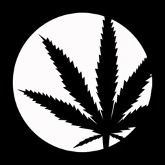 Purple Haze Records