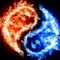 user24032090