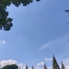mi