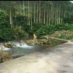 Nguyễn Nhất