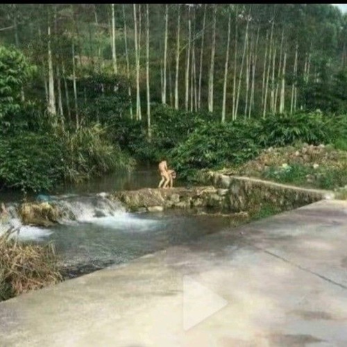 LAO TÂM KHỔ TỨ - SS x AM REMIX - LẠI LẠC MẤT EM RỒI, ANH KẺ TỒI REMIXI