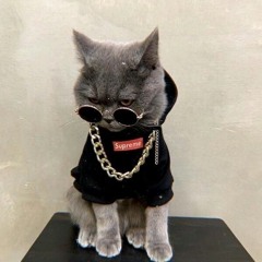 меджик