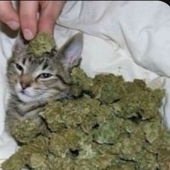 $@vY