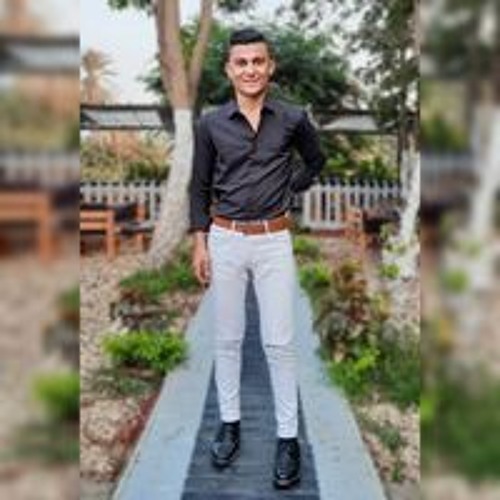 Maged A Elsheikh’s avatar