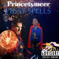 princetymeer