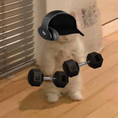 عزاء بوبو الزلم