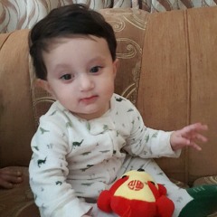 SyedTahaHussain