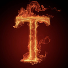 Ty Reigns