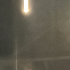 рыдающий лес