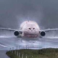 M•••••F•••••