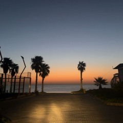 A_Almatouq