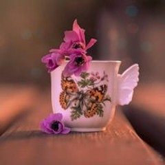 رضا الرحمن غايتي
