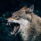 WolfBlood