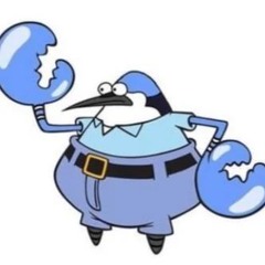 Skipper