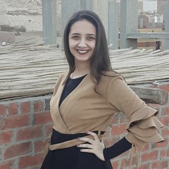 Ereeny Aymen Ramzy