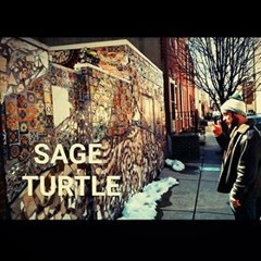 Sage Turtle