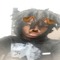 tubb. (soon)