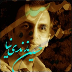 HosseinZandinia