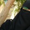 حفصة