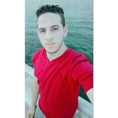 mohamed fekry