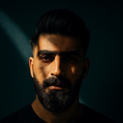 hamed shabgard