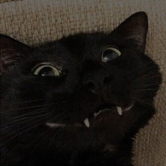 Milk0